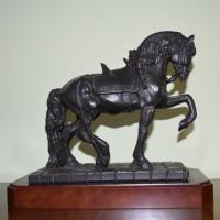 Andalusian stallion right profile